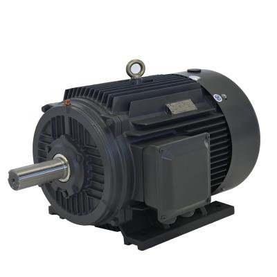 China IP54 5.5kW~90kW Small Size Three Phase Synchronous AC Motor for sale