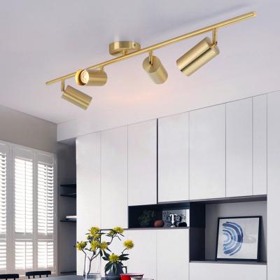 China Residential Modern Golden Adjustable Rail 3 Phase Magnetic Fixture 30W Cob Led Dimmable Led Track Lighting Narrow Beam Angle Spotlights for sale