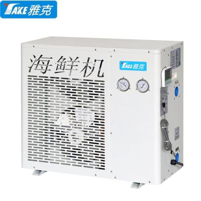 China 2021 Restaurant Deli Water Cooler Marine Chiller 1ton for sale