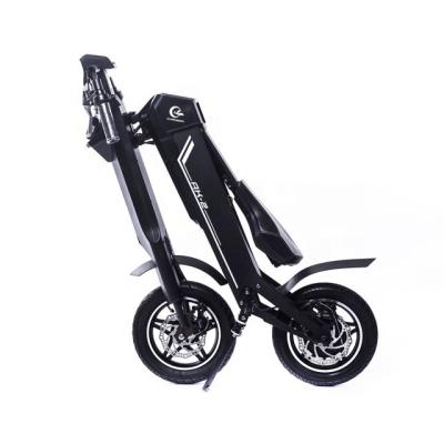 China Unisex Electric Folding Bicycle Two Wheel Electric Bike 250W Folding Electric Bike Hot Sale for sale