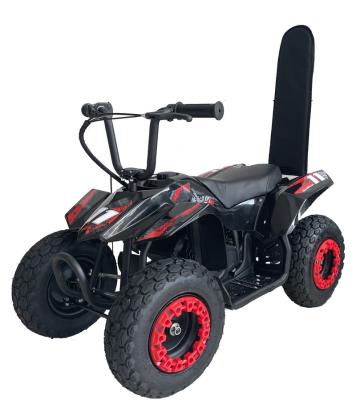 China Mini Children Good Quality Electric Unisex ATV Electric Toy 250W for sale