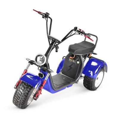 China 200kg Citycoco Mobility Scooter Motorcycle 60 V W Unisex 1500 Brush Less Three Wheel Motor for sale