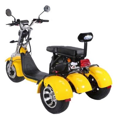 China 4000w Unisex Powerful Adult Scooter Electric Motorcycle 3 Wheels With Seat Citycoco Off Road Scooter for sale