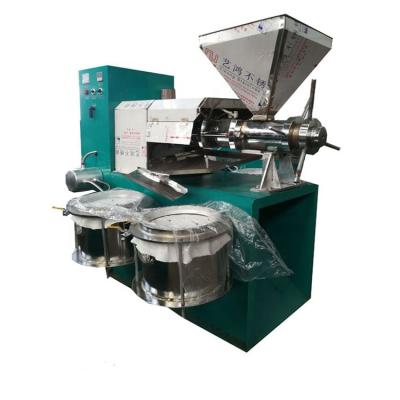 China Small hot and cold press mustard oil press machine soybean sesame cold fry oil making machine for sale