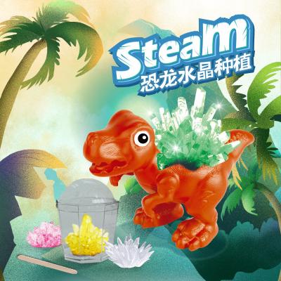 China Plastic Dinosaur Crystal Planting Steam Toy Science Low Crystal Toys For Children for sale