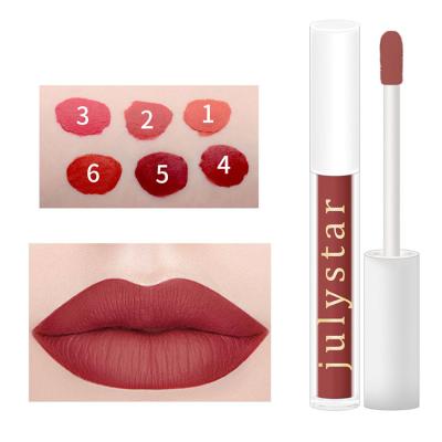 China Hot Selling Natural Waterproof Long Lasting Makeup Lip Gloss Moisturizer Matte Glaze Lip Gloss for sale