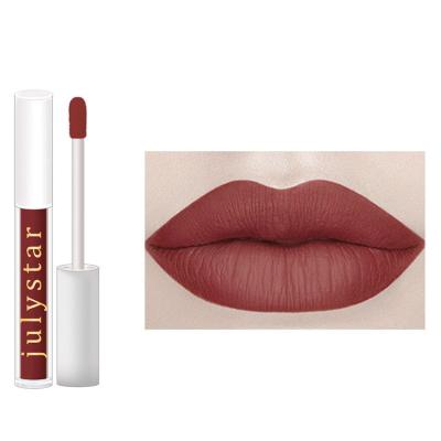 China New Product Private Label Waterproof Hot Lip Gloss With Low MOQ for sale