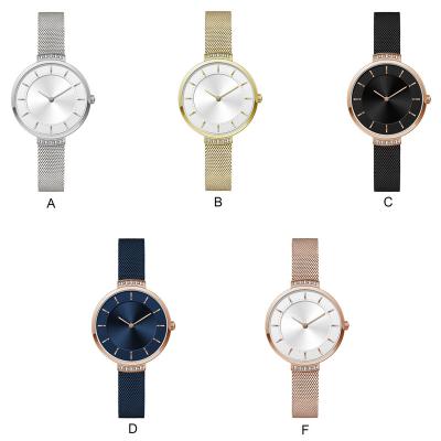 China Water Resistant Stainless Steel Fashion Lady Watch in Strap, QS456 Slim Watch, Quartz Watch Stainless Steel Buckle for sale