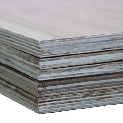 China traditional plywood factory/cheapest plywood sheet/packing plywood/8mm commercial plywood for sale