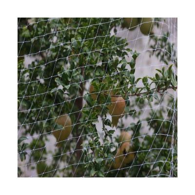 China Hdpe Agricultural Bird Netting for Plant Protection - Keep Your Plants Safe from Birds for sale