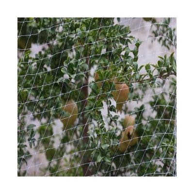 China Hdpe 2-40m Width HDPE Anti Bird Netting - Wide Range of Sizes for Different Bird Control Needs for sale