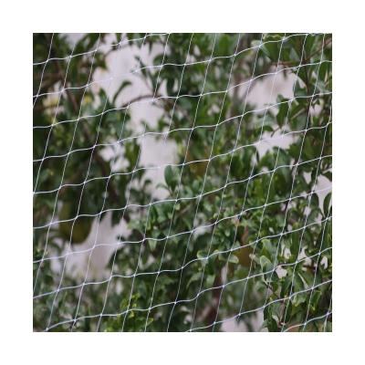 China Wide range of applications Plastic Anti-Bird Netting - Plant Protection Tool for Trapping Birds and Animals for sale