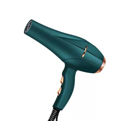 China Other Hot Cold Adjustable Hair Dryer Hair Dryer Amazon Success Hair Dryer for sale