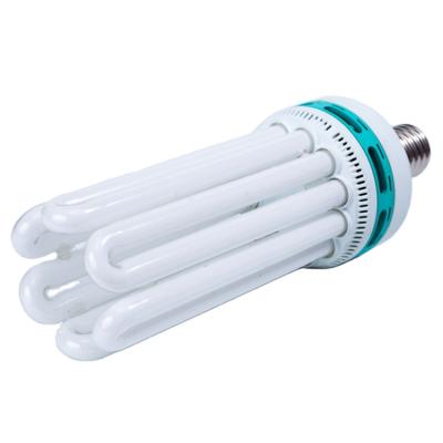 China Home Light Energy Saving Lamp E27 36W Cool White Warm White 40W 60W for sale