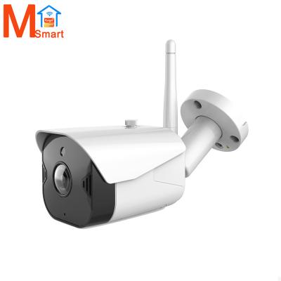 China Human Motion Lyailot Smart IP Camera Wi-Fi Bullet WiFi CCTV Camera Tuya 1080P Smart Home Pathway Security Wired CCTV Camera for sale