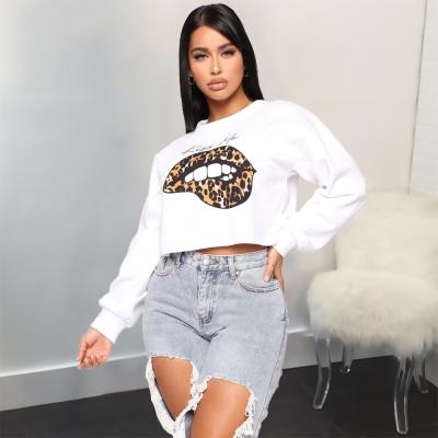 China Anti-Wrinkle Drop Shipping Autumn Girls T-Shirt Plus Size Long Sleeves Crop Tops Round Neck for sale