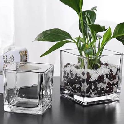 China Clear glass vase ware different size glass square vases in high quality cube glass vase for sale