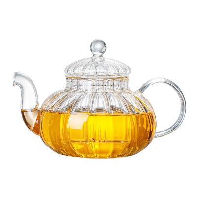 China 600ml Tea Maker Viable Glass Teapot Glass Tea Pot Filtering Glass Kettle for sale