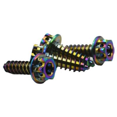 China Oval Customized Professional M8x1.5 Screws 4-40 Titanium Screws Hex Socket Self Tapping Screws for sale