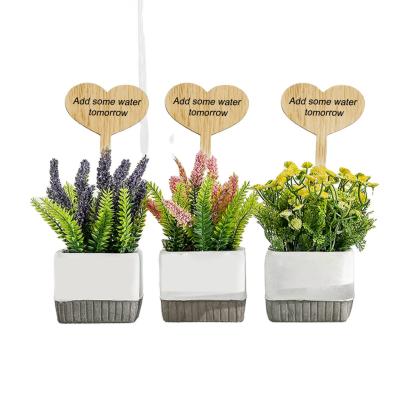 China Markers for Vegetable Garden Potted Tool Flower Seed Herbs Plant Wooden Labels for Outdoor Plants Type Garden Sign Wooden Label Markers for Vegetable Garden Potted Tool flower herb seed for sale