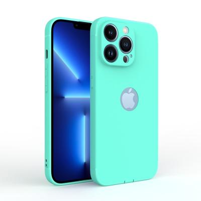 China Shockproof Pink and Green Bag Spring 2022 Frosted Soft Silicone TPU Rubber Matte Smoke Case Slim Covers for iPhone 11 12 13 Mini Pro Max for sale