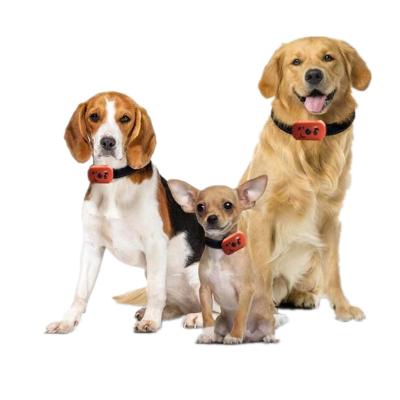 China Viable Hot Anti Bark Collar Battery Operated Stop Vendor Control Device Anti Bark Collar No Bark Dog Collars for sale