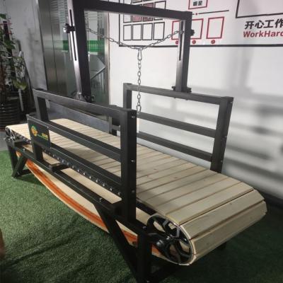 China Indoor Pet Treadmill with Stainless Steel Construction Custom Logo and Performance for sale