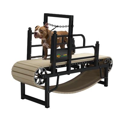 China Dogs Training on Metal Steel Wood Slat Mill for Agility and Treadmill OEM ODM Accepted for sale