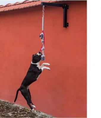 China La vara de resorte de acero negro es un accesorio esencial para el entrenamiento sostenible de perros en venta