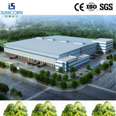 China Customized Supermarket Vegetable Cold Storage Room , Walk In Freezer Room for sale