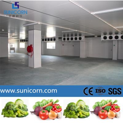 China Professional Vegetable Cold Storage Project With 50mm / 75mm Panel Thickness for sale