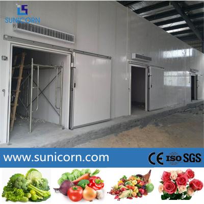 China Multi Commodity Cold Storage Room For Frozen Meat And Seafood Distribution for sale