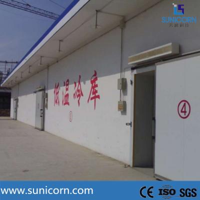 China PLC Control Frozen Walk In Cold Storage System Room For Fruits And Vegetables for sale