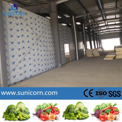 China High Temperature Cold Storage Room Keeping Fresh Sandwich Panels Designed for sale