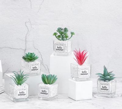 China Nordic Simulated Potted Succulents Mini Potted Faux Natual Touch Plant Ornaments For Desktop Decorative for sale