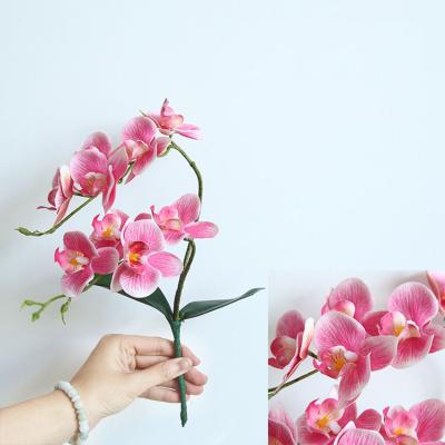 China Natual 3D Real Touch Stem Artificial Silk Single Phalaenopsis Latex Orchid Flower For Wedding Home Office for sale