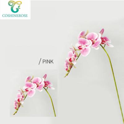 China Practical beautiful and attractive Phalaenopsis endless fun and sparkle orchid for living room decor for sale