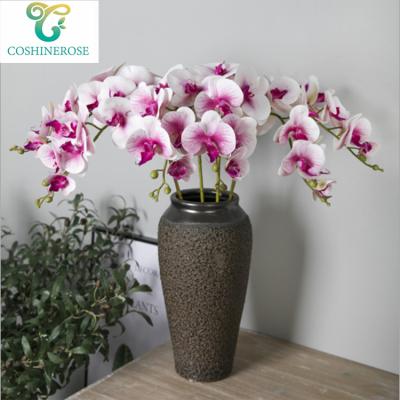 China Beautiful High End Well Designed Poetic Orchids Plants For Daily Inspiration for sale