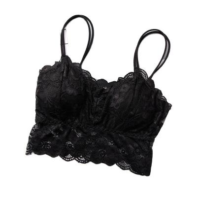 China Anti-pilling Sell well at wholesale comfortable moisture absorption and sweat releasing dry wireless lacy bra for sale