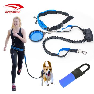 China Pocket Viable Adjustable Bungee Bungee Retention Belt Thoughtful Walking Jogging Rise Nylon Leash for sale