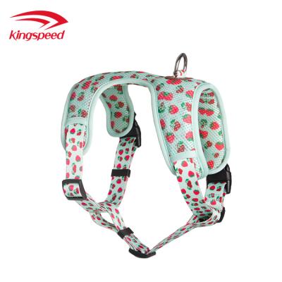 China Wholesale Nylon Dog Harness Adjustable Custom Cheap Viable Comfortable No Pull Dog Harness for sale