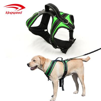 China Durable Comfortable Adjustable Thoughtful Padded Nylon No Pull Dog Harness for sale