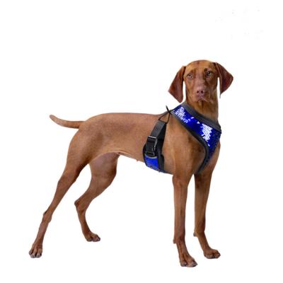 China Modern Design Adjustable Dog Harness Adjustable Polyester For Dog Safety Harness Vest for sale