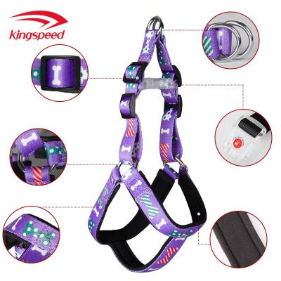 China Viable Nylon Dog Safety Harness With Adjustable LED Buckle Breathable Puppy Harness for sale