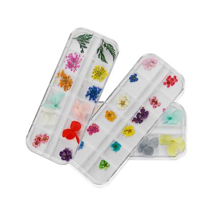 China Nail Art/Craft Decoration Mix Dried Flowers Nail Decorations Jewelry Natural Floral Leaf Stickers 3D Nail Art Polish Dry Flower NDF001 for sale