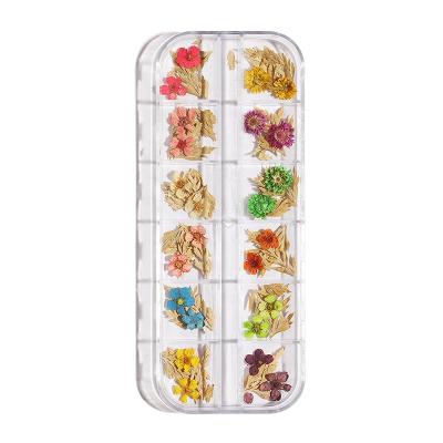 China Nail Art/Craft Decoration 1 Box Mix Nail Decoration Dried Natural Dry Creative Nail Polish Decals Flower DIY Flower Stickers Nail Polish for sale