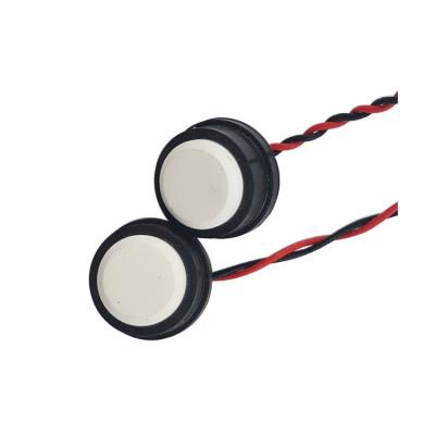 China Epoxy Resin 200khz Ultrasonic Gas Flow Sensor For Gas Meter for sale