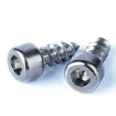 China Tapping Pan 304 Stainless Steel 316 Allen Cup Head Screws Hexagon Wood Screws 1/4 3/8 5/16 5/8 Socket Head Self Tapping Screws for sale