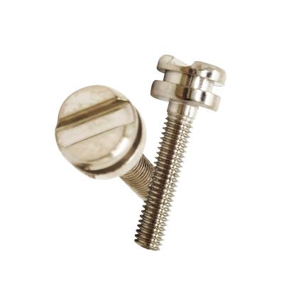 China Pan High Quality Custom Double Sided Screw Bolt M2M3M4 Round Head Titanium Bolts Slotted Titanium Screw Motorcycle for sale