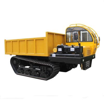 China ICLES 8 ton crawler dumper 10 ton dumper truck for sale 5.3*2.25*2.45 for sale